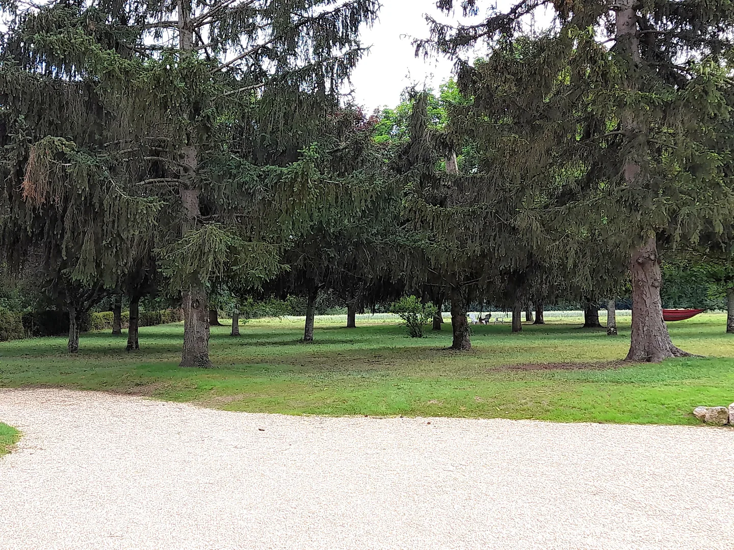 Le parc et l’allée