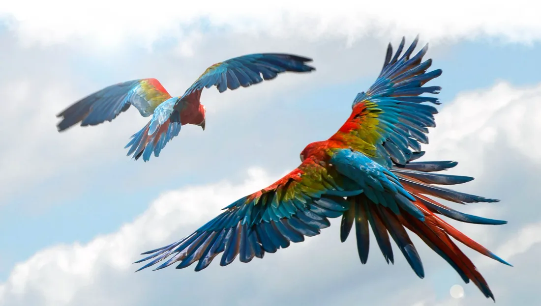 Les Géants du Ciel